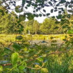 From Lugo: Half-day excursion to the Viladonga Hillfort - Is This Tour Worth It?