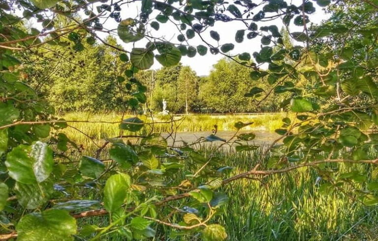 From Lugo: Half-day excursion to the Viladonga Hillfort - Is This Tour Worth It?