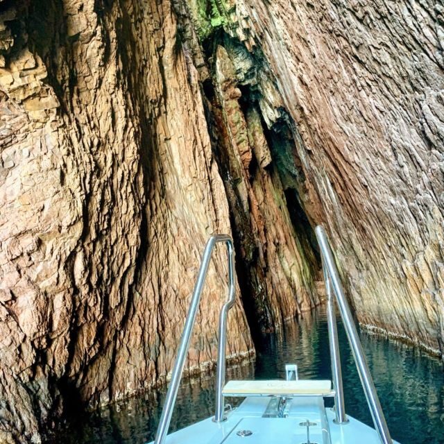 From Lumio: Les Agriates Desert Cruise with swimming