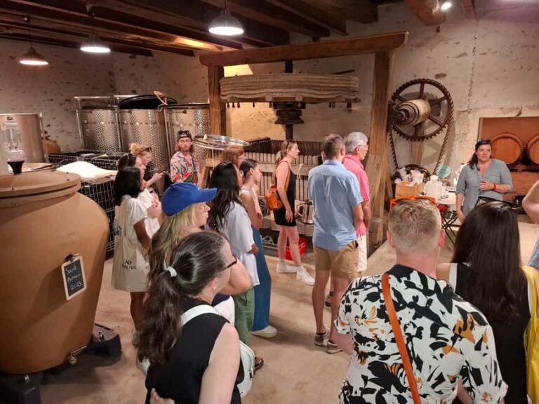 From Lyon: Beaujolais Wine Route Half-Day Tour - Exploring the Beaujolais Region