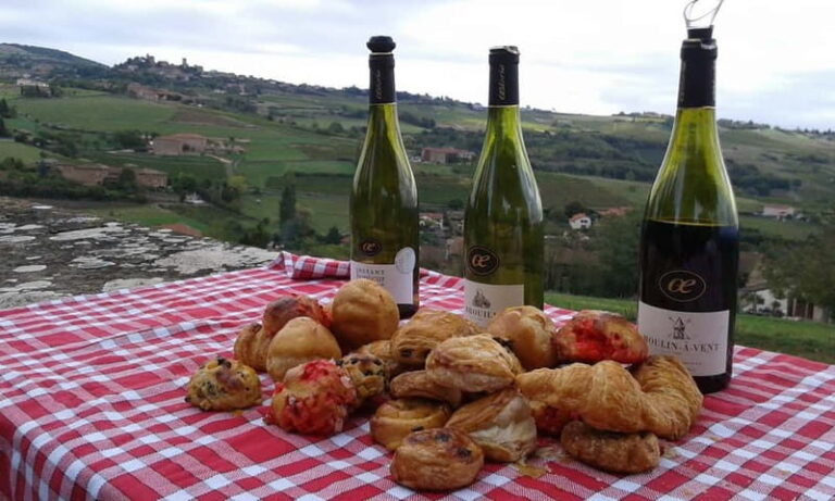 From Lyon: Golden Stones Beaujolais Wine Tasting Tour - An Honest Look at the Beaujolais Wine Tour