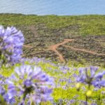 From Madalena: Pico Volcanoes and Lakes Guided Day Tour - The Experience: What Travelers Are Saying