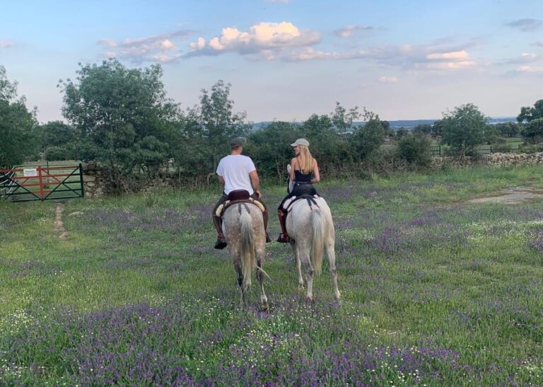 From Madrid: Horseback riding Experience - What’s Included and What’s Not