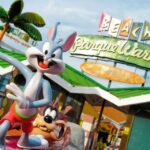 From Madrid: Parque Warner Beach Water Park & Transport - Final Thoughts