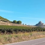 From Madrid: Ribera del Duero Wine Tour with Local Lunch - The Wineries: What You Can Expect