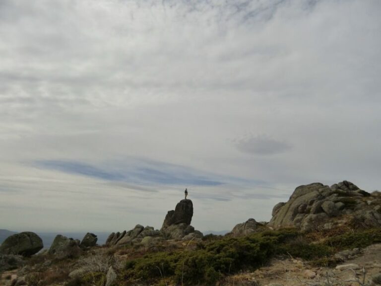 From Madrid: Sierra de Guadarrama Hiking Day Trip - What Youll Do During the Day