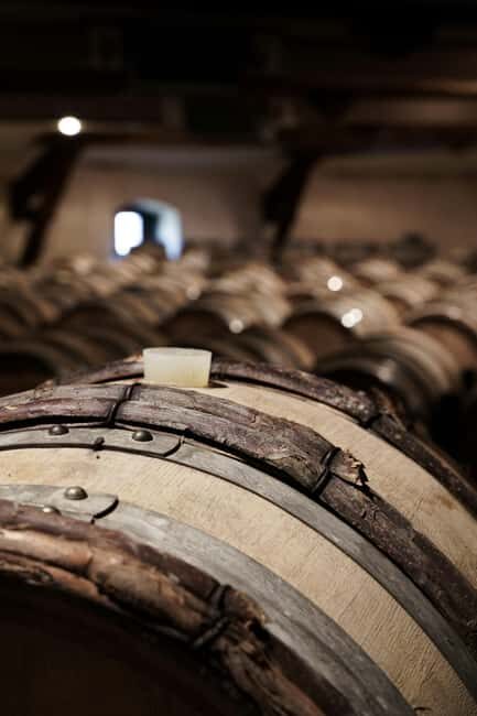 From Madrid to Castilla & León: Hidden Vineyards and Towns - Final Thoughts