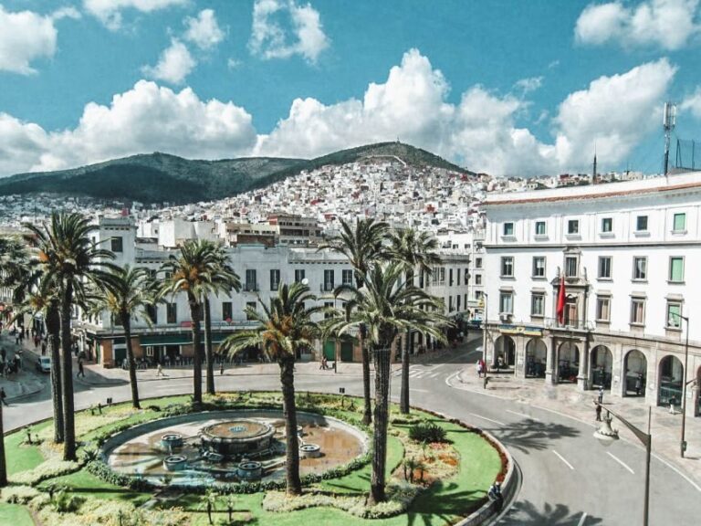 From Malaga and Costa del Sol: Day Trip to Tetouan, Morocco - The Sum Up