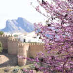 From Malaga: Antequera Heritage and Oil Mill land - Is It Worth It?