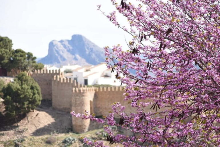From Malaga: Antequera Heritage and Oil Mill land - Is It Worth It?