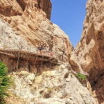 From Málaga: Caminito del Rey Day Trip & Guided Tour - The Experience from the Guides and Reviews
