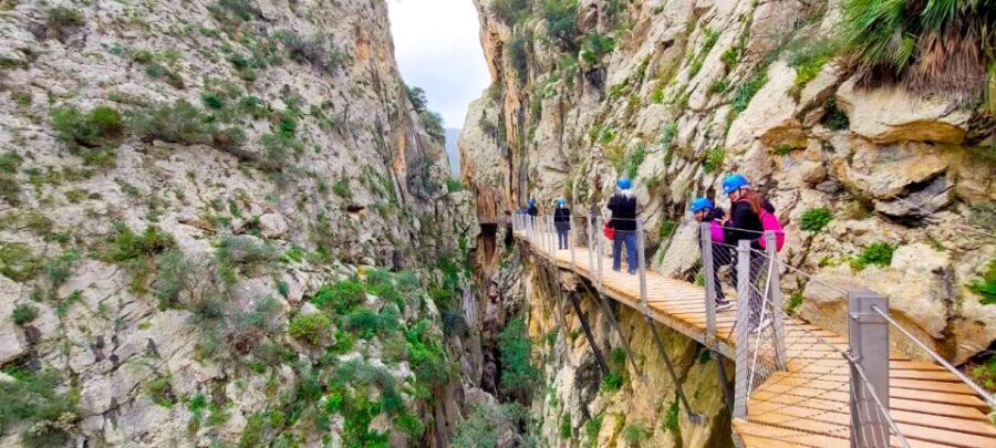 From Málaga: Caminito del Rey Guided Day Trip - Transportation and Logistics: How Well Does It Run?