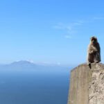 From Malaga: Gibraltar and Tangier Private Day Trip - Practical Details and What to Expect