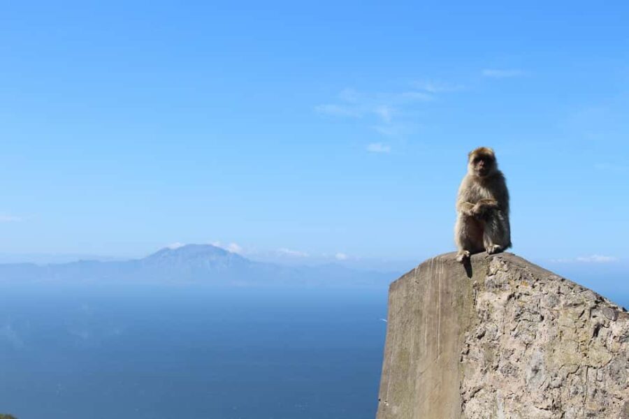 From Malaga: Gibraltar and Tangier Private Day Trip - Practical Details and What to Expect