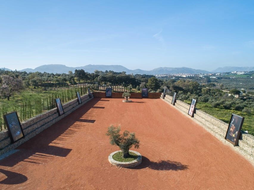 From Málaga: Ronda Experience with oil tasting - Final Thoughts