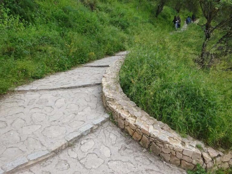 From Malaga: Ronda y Setenil de la Bodegas Day Trip by coach - Value for Money