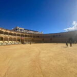 From Marbella: Ronda, private transport, cafe, bullring, tapas, drinks - How the Tour Stands Out