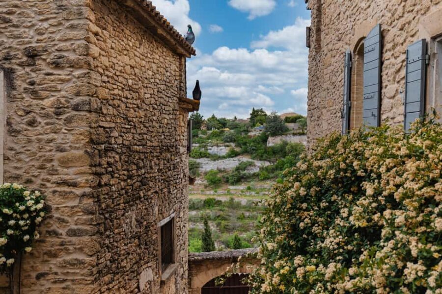 From Marseille Cruise Port: Luberon Villages - Whats Included and What Not