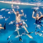 From Marseille: Iconic Calanques Boat Tour with Swimming - The Itinerary Breakdown: Discovering the Calanques