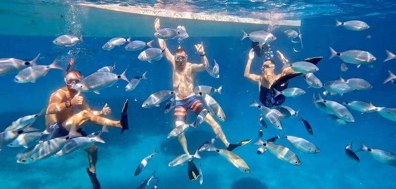 From Marseille: Iconic Calanques Boat Tour with Swimming - The Itinerary Breakdown: Discovering the Calanques