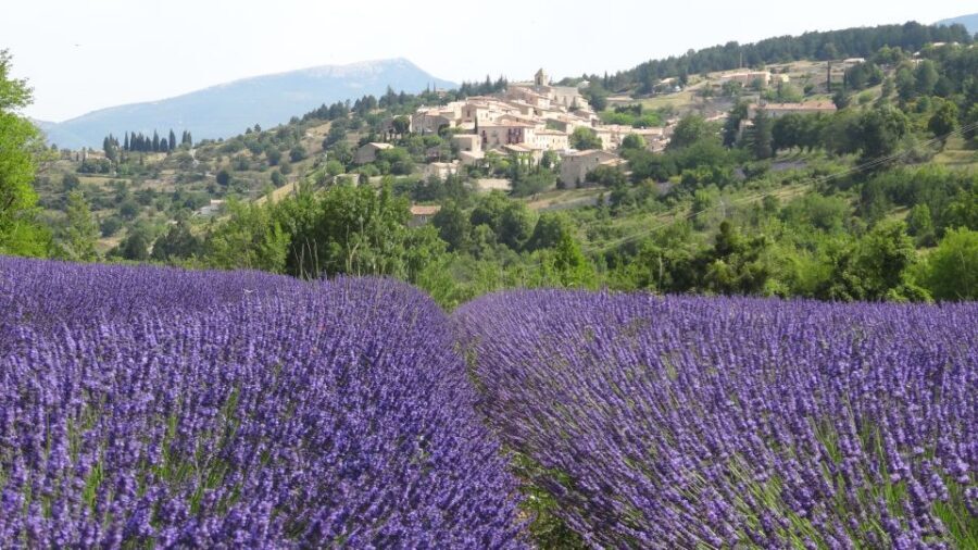 From Marseille: Lavender Full-Day Trip to Sault - What the Reviews Say