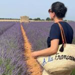 From Marseille: Valensole Lavenders Tour from Cruise Port - Visiting the Lavender Fields at Valensole