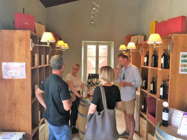 From Marseille: Wine and Scenery around Aix-en-Provence - The Experience in Detail