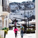 From Matera: tour of Alberobello with private transfer - About the Logistics and Cost