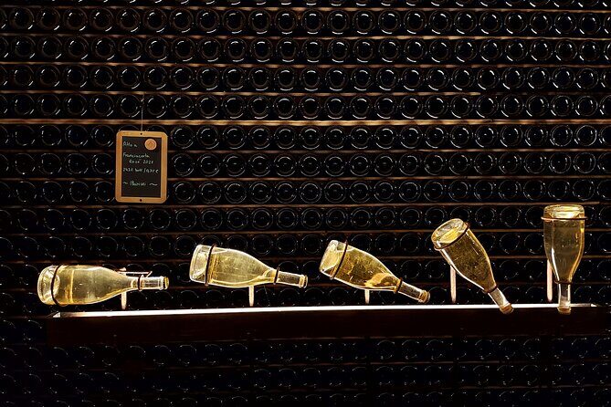 From Milan: Lake Iseo, Bergamo & Franciacorta Wine Tour - The Wines and Food