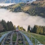 From Montreux, Bern or Fribourg : Gruyères region TOUR - Who Is This Tour Best For?