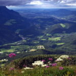 From Munich: Eagle's Nest, Königssee & Salzburg Private Tour - What’s Included and What’s Not