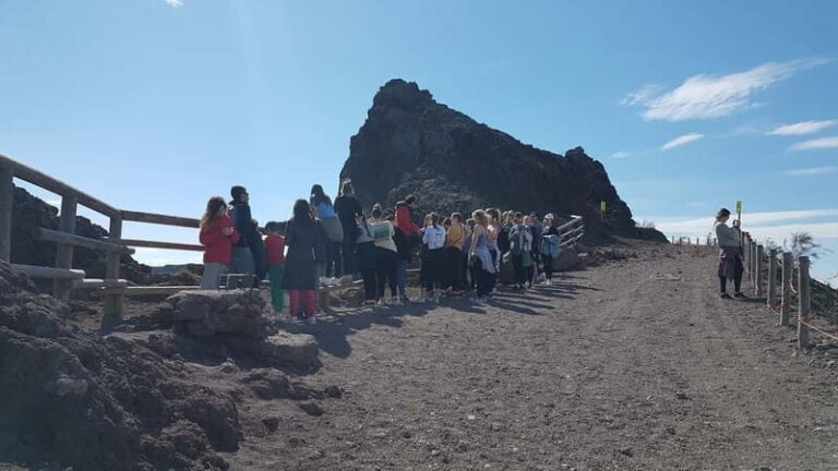 From Naples: Day Trip to Mount Vesuvius - The Transportation and Logistics