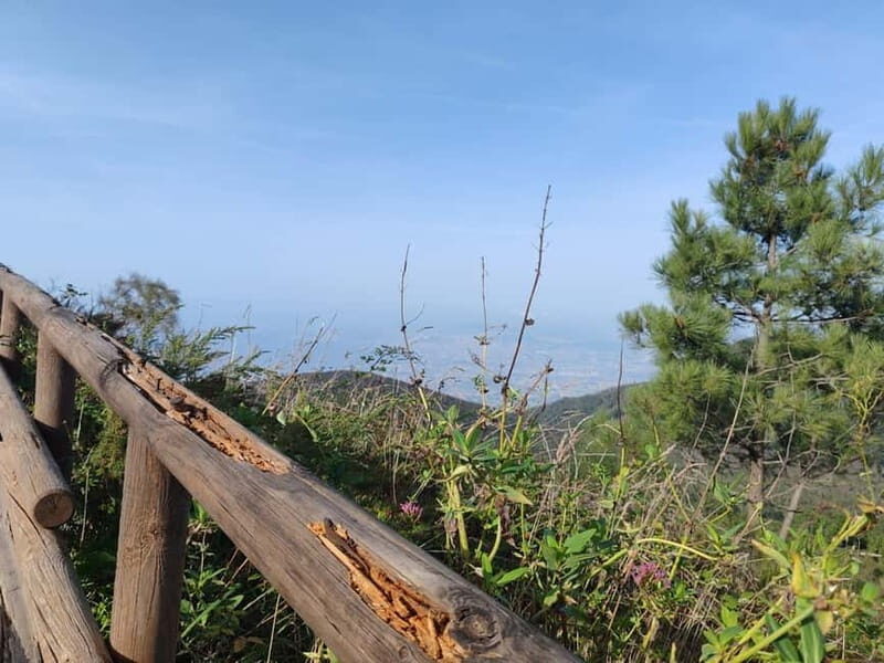 From Naples: Explore Herculaneum Ruins and Vesuvius - What the Reviews Say