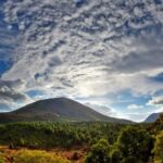 From Naples: Mount Vesuvius Half-Day Tour with Lunch - The Group and Guides: Who Youll Be With