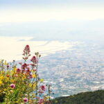 From Naples or Pompeii: Vesuvius Easy Tour - The Itinerary in Detail