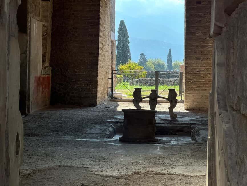 From Naples: Pompeii Ruins & Naples Walking Tour - The Pompeii Experience: What You’ll See and Learn