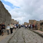 From Naples: Pompeii Tour with Guide, Driver & Ticket - What to Expect from the Tour Itself