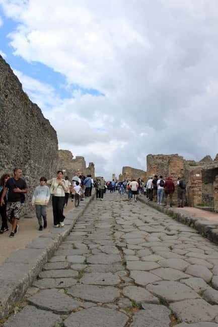 From Naples: Pompeii Tour with Guide, Driver & Ticket - What to Expect from the Tour Itself