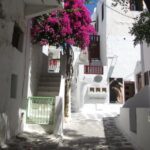 From Naxos: Delos and Mykonos Full-Day Boat Trip - The Pros and Cons: What Travelers Are Saying