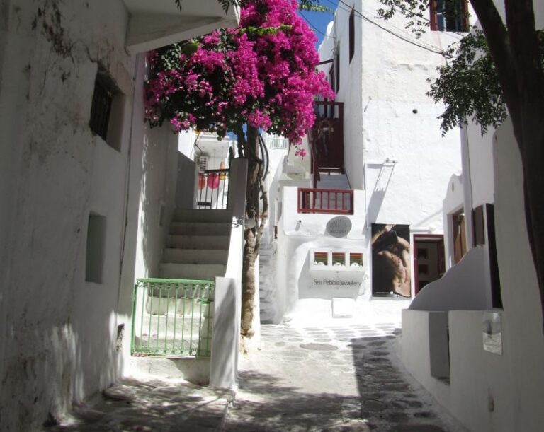 From Naxos: Delos and Mykonos Full-Day Boat Trip - The Pros and Cons: What Travelers Are Saying