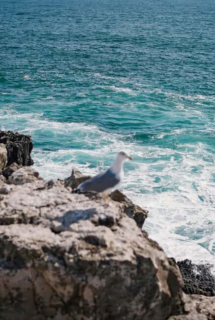 From Nazaré: Private Tour to Worlds Biggest Waves - Iconic Views and Unique Experiences