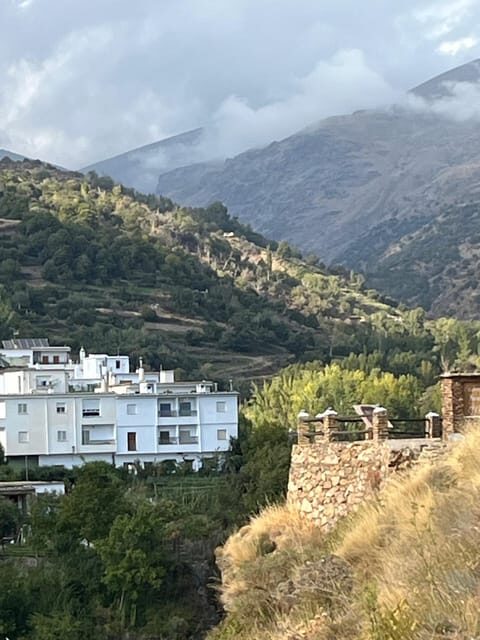 From Nerja/Almunecar: Sierra Nevada and Alpujarra day trip - Authentic Review Snippets and Real Insights