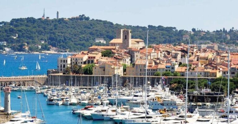 From Nice: Cannes & Antibes - What to Expect on the Tour