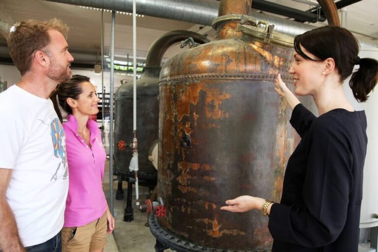 From Nice, Cannes, Villefranche: French Riviera Day Trip - Final Thoughts