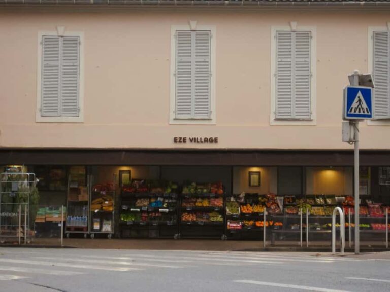 From Nice: Eze Medieval Village & Garden Tour with Guide - Transport, Timing, and Practical Details