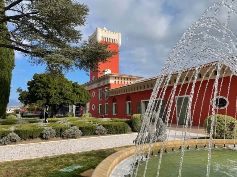 From Nice: Half-Day Wine Tour in the Bellet Wine Region - Who Will Love This Tour?