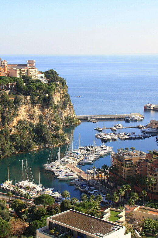 From Nice: Monaco, Monte Carlo & Eze Private Half-Day Tour - The Practical Side: Logistics and Value