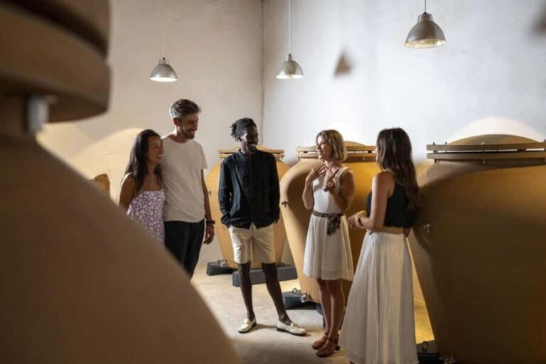 From Nice: Provence Wine Full-Day Tour - Who This Tour is Perfect For