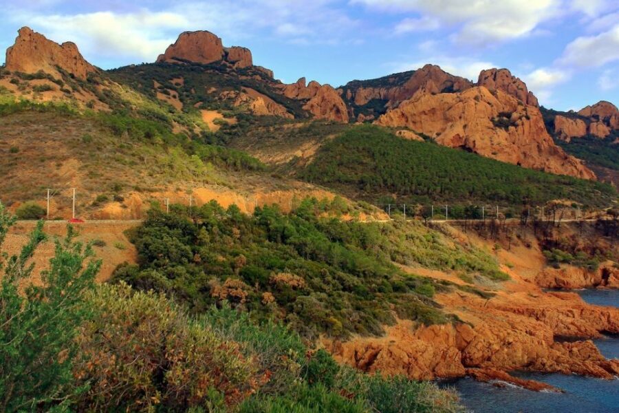 From Nice: Saint-Tropez and Port Grimaud Full-Day Tour - What We Love About the Tour