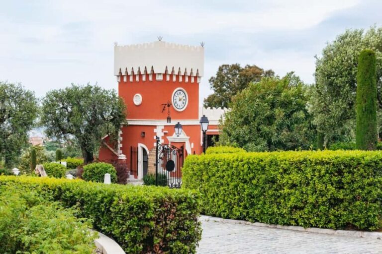 From Nice: Wine Tasting, Cannes, and Countryside Tour - What to Expect on the Day